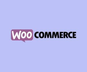 agence WooCommerce à Lyon