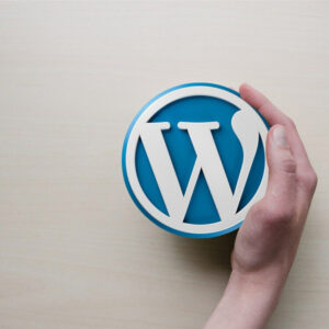 agence WordPress Lyon agence WordPress Lyon
