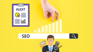 audit SEO e-commerce Lyon